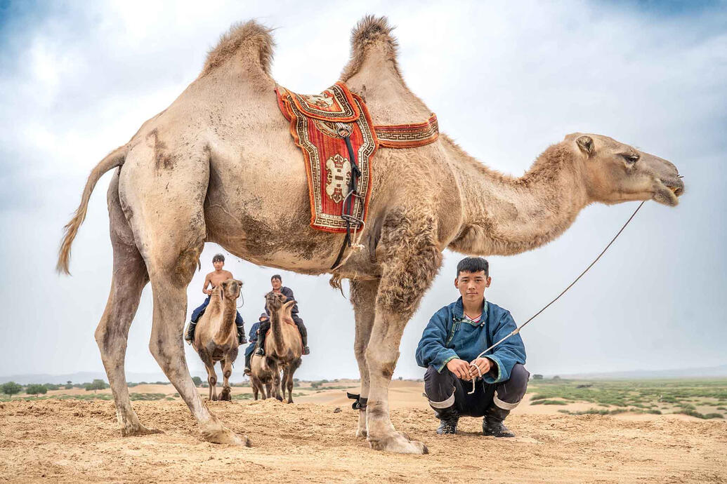 Camel Herders The scarce water and vast distances in Mongolia’s desert regions made camel herding essential for generations of pastoral communities, relying on these animals for daily survival. © Roberto Pazzi