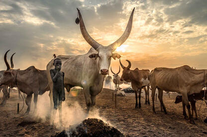 The Young Breeder Portrait of a Mundari child © Roberto Pazzi