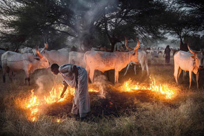Before the Darkness Comes Boudouma herder burning pastureland to fertilize the soil © Roberto Pazzi