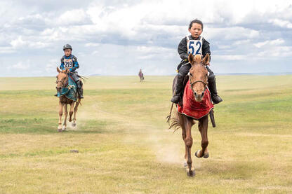 The Young Jockey The final phase of a horse racing © Roberto Pazzi