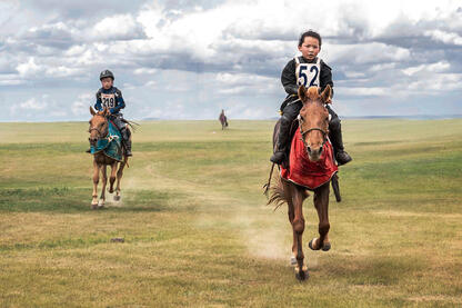 The Young Jockey The final phase of a horse racing © Roberto Pazzi