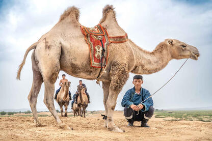 Camel Herders Group of camel herders © Roberto Pazzi
