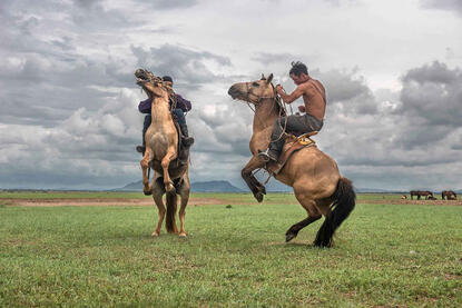 Wild Horse Tamers Wild horse tamers training the horses © Roberto Pazzi