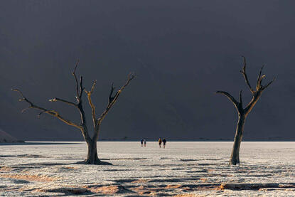 Lunar Landscape The Petrified Forest in the Sussusvlei Desert © Roberto Pazzi