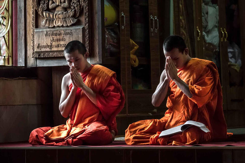 Buddhist Monks Portrait of young Buddhist monks at prayer © Roberto Pazzi
